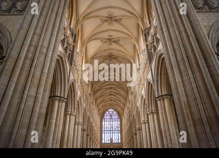 Beverley Minster nello Yorkshire orientale, Regno Unito Foto Stock