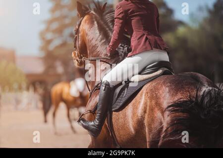 Una vista posteriore di una baia cavallo galoppo veloce con un pilota in sella, illuminato dalla luce del sole in una giornata estiva. Sport equestri. Equitazione. Foto Stock