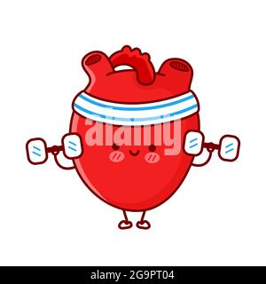 Carino divertente organo cuore fare palestra con manubri. Icona di illustrazione del carattere kawaii della cartoon vettoriale a linea piatta. Isolato su sfondo bianco. Concetto di personaggio cartoon Heart Organ Workout Illustrazione Vettoriale