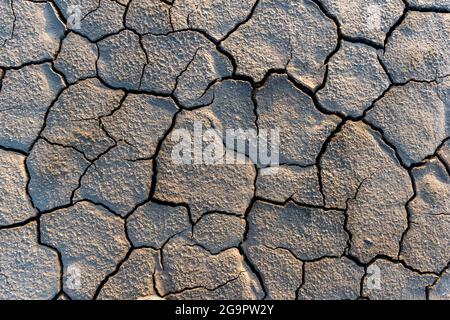 Terra di siccità senza consistenza di acqua. La scarsità globale di acqua sul pianeta. Riscaldamento globale e effetto serra concetto. Siccità, il raccolto di grano muore. Foto Stock