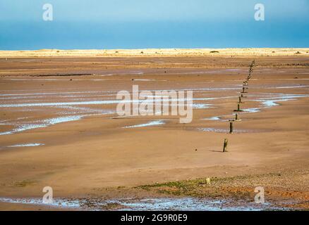 Resti di difesa guerra anti glider pole linea sulla spiaggia, Hedderwick Sands, John Muir Country Park, Dunbar, East Lothian, Scozia, Regno Unito Foto Stock