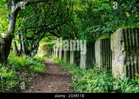 Percorso costiero fiancheggiato da grandi blocchi di cemento anticarro, difese costiere della seconda guerra mondiale, East Lothian, Scozia, Regno Unito Foto Stock