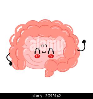 Carino divertente intestino organo carattere. Icona raffigurante il carattere kawaii del fumetto disegnato a mano del vettore. Isolato su sfondo bianco. Organo intestinale umano, concetto di carattere cartoon Illustrazione Vettoriale