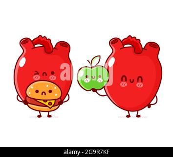 Carino divertente organo cuore umano con mela e hamburger. Vettoriale linea piatta doodle cartoon kawaii personaggio illustrazione. Isolato su sfondo bianco. Organo cuore umano, cartone animato cibo mascotte concetto di carattere Illustrazione Vettoriale