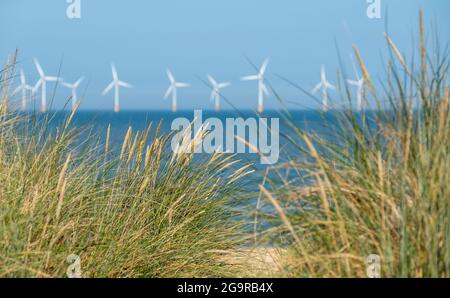 Scroby Sands Wind Farm nel Mare del Nord al largo della costa orientale del Norfolk in lontananza, fotografato attraverso le dune di sabbia erbosa a Caister on Sea. Foto Stock