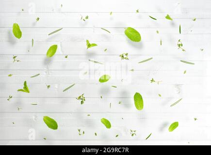 Foglie fresche di piante speziate in dispersione su uno sfondo di legno bianco. Foto Stock