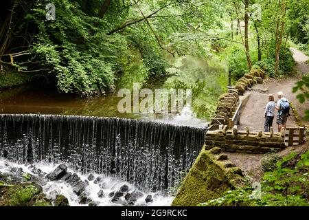 Una coppia anziana in piedi da una cascata durante la loro passeggiata a Skipton Castle Woods Foto Stock
