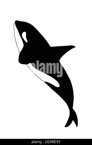 Cartoon orca, disegno di illustrazione di balena killer. Foto Stock