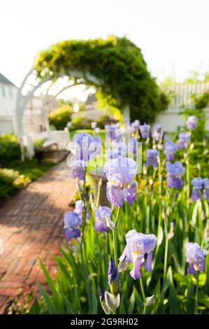 Strawbery Banke Museum, Portsmouth, New Hampshire, USA Foto Stock