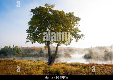 Fiume Androsoggin, Milano, New Hampshire, Stati Uniti Foto Stock