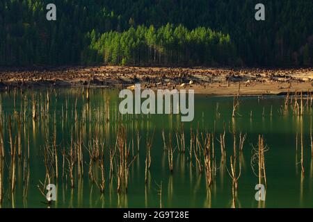 Un'immagine esterna di un lago della foresta del nord-ovest Pacifico Foto Stock