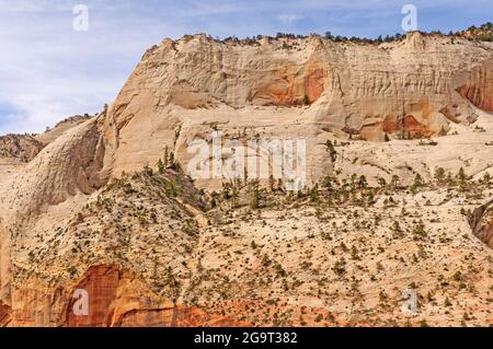 Pietra arenaria bianca scolpita in un giorno di sole da Angels Landing nello Zion National Park nello Utah Foto Stock