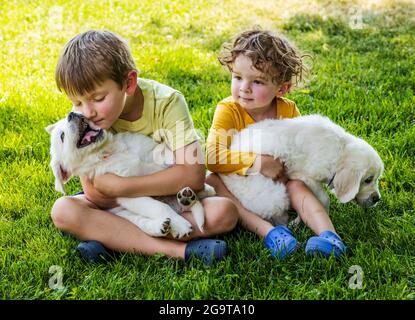 Due bambini piccoli che giocano sull'erba con i cuccioli di 6 settimane di platino, o di Golden Retriever color crema. Foto Stock