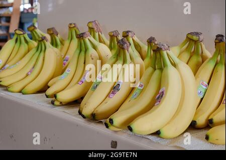 Grappoli freschi di banane ad un mercato di produzione o di fattoria o mercato agricolo in Montgomery Alabama, Stati Uniti. Foto Stock