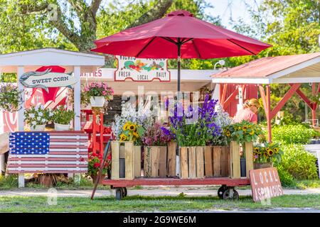 Stand Amagansett Farm Foto Stock