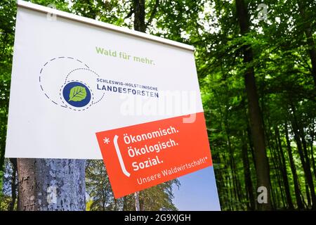 Mittelangeln, Germania. 26 luglio 2021. In una foresta si trova uno striscione della Foresta statale dello Schleswig-Holstein (SHLF). Credit: Frank Molter/dpa/Alamy Live News Foto Stock