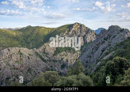 Scoperta dell'isola di bellezza nel sud della Corsica nel mese di maggio, Francia Foto Stock