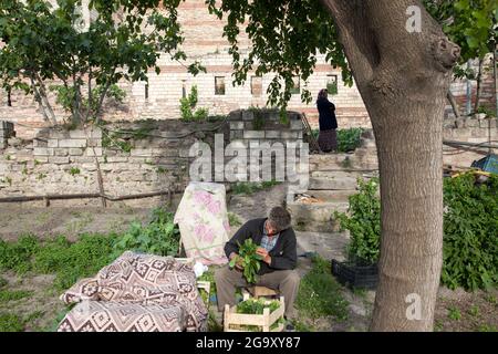 Fatih, Istanbul-Turchia - 05-20-2017:Vista delle storiche mura bizantine e dell'orto Foto Stock