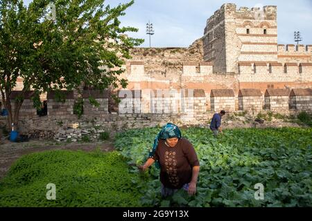 Fatih, Istanbul-Turchia - 05-20-2017:Vista delle storiche mura bizantine e dell'orto Foto Stock