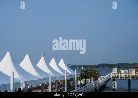 Die Seebar an der Kieler Förde im Sommer, Eine Silbermöwe beobachten des Geschehen Foto Stock