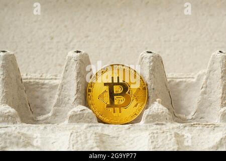 Bitcoin dorato in un vassoio per le uova di pollo. Bitcoins Farm - concetto. Bitcoin in scatola di cartone. Concetto di criptovaluta Foto Stock