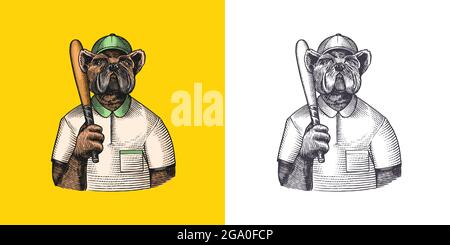 Personaggio cane. Giocatore di baseball Bulldog con una mazza. Animale alla moda, Signore vitoriano in una giacca. Disegno a mano inciso vecchio schizzo monocromatico Illustrazione Vettoriale