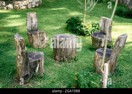 Ceppi a forma di sedie e un tavolo in un prato verde Foto Stock