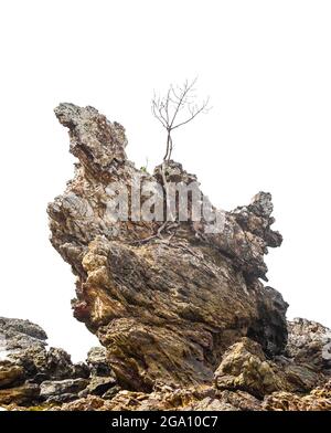 La grande spiaggia rocciosa isolata su sfondo bianco. Foto Stock