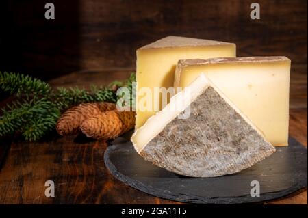 Collezione di formaggi, formaggi francesi di mucca comte, beaufort, abondance, tomo de savoie e coni di abete Foto Stock