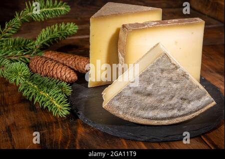 Collezione di formaggi, formaggi francesi di mucca comte, beaufort, abondance, tomo de savoie e coni di abete Foto Stock