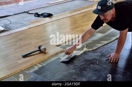 Stendimento adesivo da parte dell'operatore durante l'installazione di una linguetta di legno laminata e di un pavimento scanalato Foto Stock