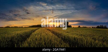 Incredibile tramonto e alba sul mulino a vento e sul campo di grano. La foto migliore Foto Stock
