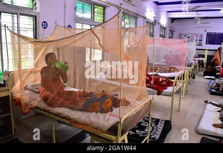 Pazienti dengue indiani , si trova su un letto coperto da una zanzariera nel reparto dengue di un ospedale governativo a Jabalpur, Madhya Pradesh INDIA. Foto Stock