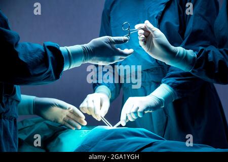 il medico e l'equipe medica infermieristica stanno eseguendo interventi chirurgici presso il pronto soccorso in ospedale. l'assistente consegna forbici e strumenti ai chirurghi Foto Stock