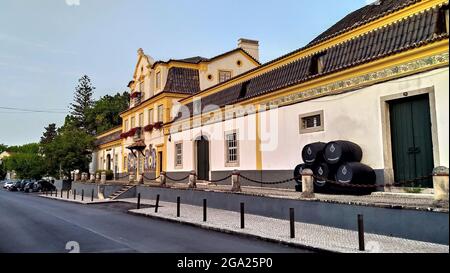 Jose Maria da Fonseca Wines House, antico maniero, cantina e museo, Azeitao, Portogallo Foto Stock