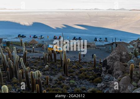 Mattina presto su Isla Incahuasi (Isla del Pescado) in Salar de Uyuni piatto di sale con Trichoreus cactus, Bolivia Foto Stock