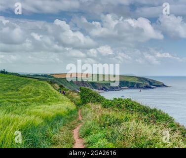 Questo è il sentiero costiero poco prima di raggiungere Towan Beach su Antony Head in Cornovaglia, il litorale ha un'atmosfera molto rurale, tranquilla e molto naturale Foto Stock