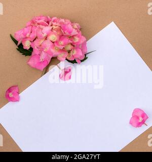 Fiori di idrangea rosa con spazio copia per il design. Foto Stock