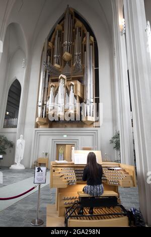 L'organista suona l'organo a pipa all'interno dell'Hallgrimskirkja, cattedrale luterana a Reykjavik, Islanda; Reykjavik, Regione capitale, Islanda Foto Stock