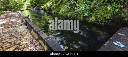 Le infradito si siedono su un molo accanto ad una laguna tranquilla fiancheggiata da lussureggianti piante dove le persone nuotano nelle Indie Occidentali francesi; Guadalupa, Francia Foto Stock