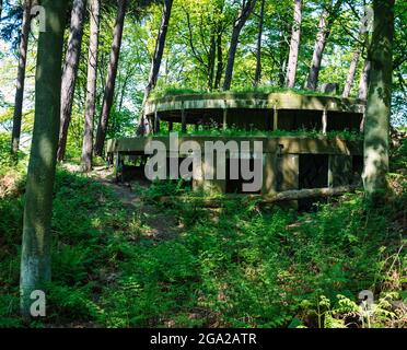 Abbandonata la II guerra mondiale gun emplacement nascosto nel bosco, Hound Point, Dalmeny station wagon, Scotland, Regno Unito Foto Stock