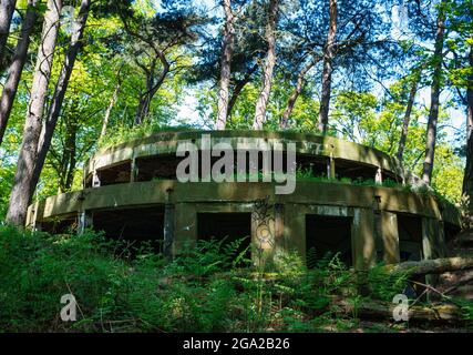 Abbandonata la II guerra mondiale gun emplacement nascosto nel bosco, Hound Point, Dalmeny station wagon, Scotland, Regno Unito Foto Stock