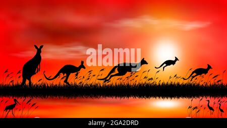 Sagome di canguro sullo sfondo del tramonto. Canguro sullo sfondo del tramonto sul lago. Paesaggio serale. Scena della fauna selvatica. Illustrazione Vettoriale