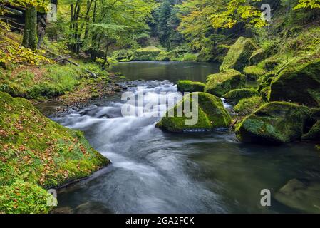 Tranquillo fiume Kamnitz (Kamenice) nella Edmundsklamm con scogliere di pietra arenaria ricoperte di muschio; Usti nad Labem Regione, Repubblica Ceca Foto Stock