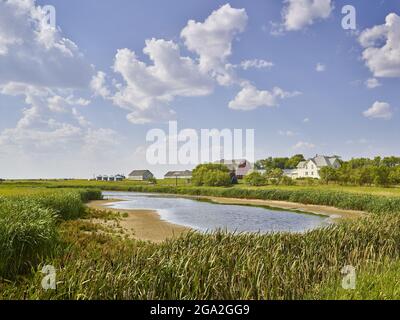 Vista pittoresca di Zimmerman Road Country Farm con campi erbosi e un laghetto sotto un cielo blu con nuvole bianche soffose Foto Stock