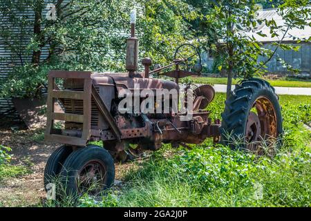 Vecchio trattore agricolo arrugginito lasciato per rottami in un campo agricolo in erbacce alte con un paio di edifici agricoli sullo sfondo in una giornata di sole luminoso in estate Foto Stock