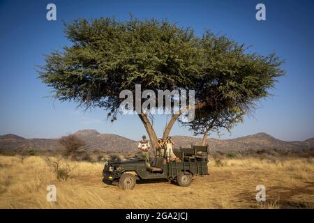 Guida e donne viaggiatori in safari e in piedi in una jeep parcheggiata sotto un albero di acacia guardando fuori sulla savana al Gabus Game Ranch Foto Stock