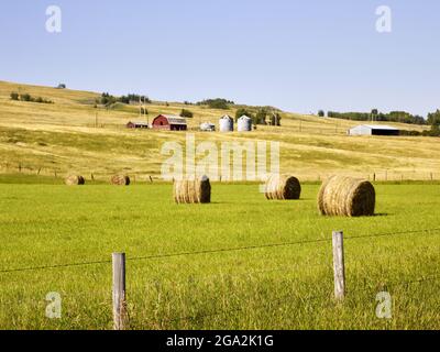Terreno agricolo con fienili e bidoni di grano sulla collina con balle di fieno arrotolate in un campo sottostante con un palo e recinzione di filo; Alberta, Canada Foto Stock