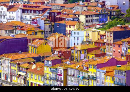 Le tradizionali e colorate case cittadine con i loro tetti in cotto hanno compattato insieme nel centro storico della città lungo il fiume Douro Foto Stock