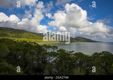 Vista panoramica delle montagne e della vegetazione a Cape Tribulation dove la foresta pluviale di Daintree incontra il Mar dei Coralli sulla costa dell'Oceano Pacifico in EAS... Foto Stock